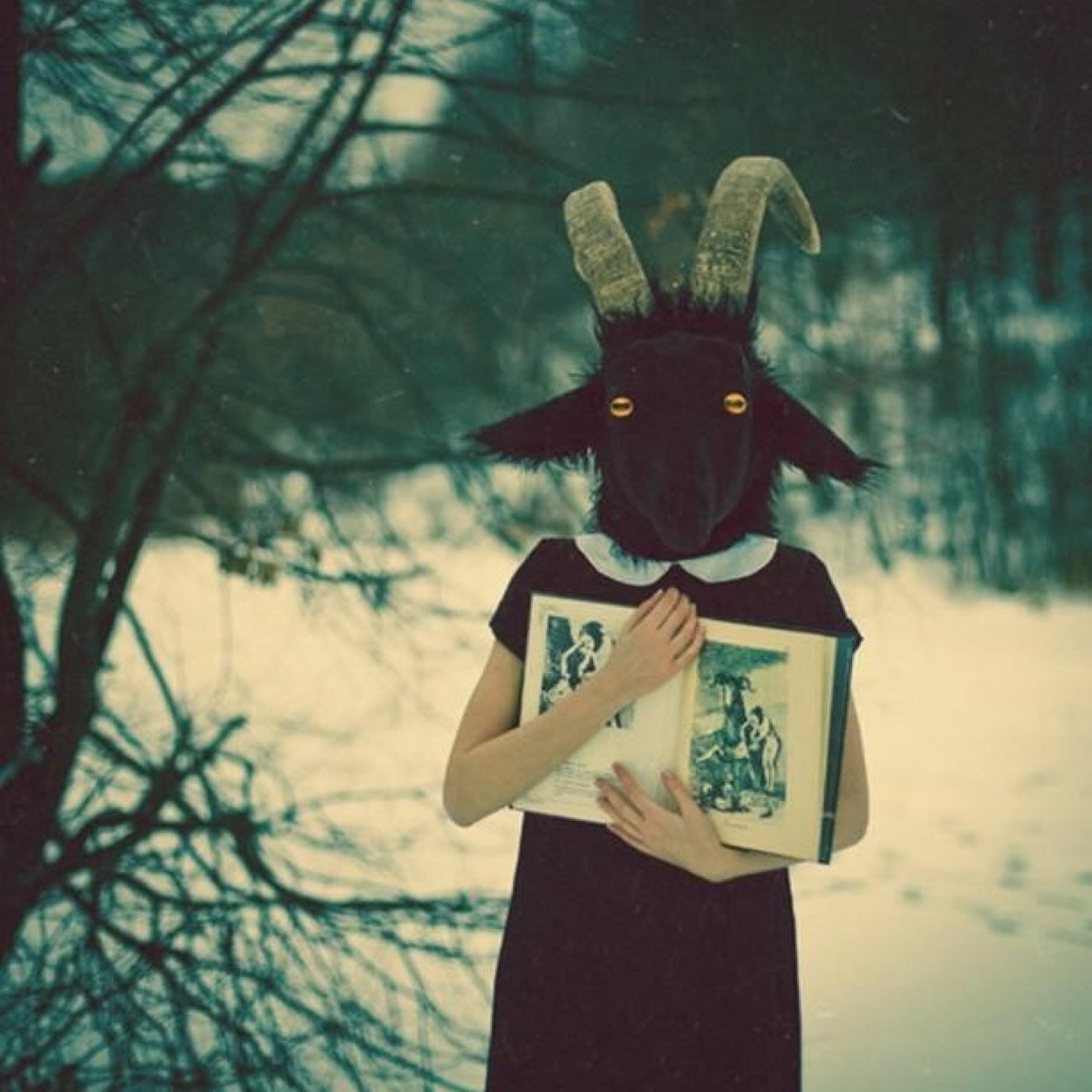 The meme features a photo of a person, likely a woman, wearing a goat mask and holding a book. The image is captioned "I can smell the desperation of your words but I'm still reading".